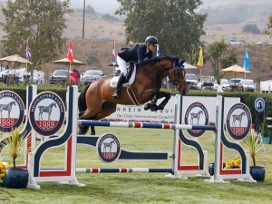 CM Stables CM Stables