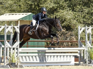 2’9” equitation 2’9” equitation