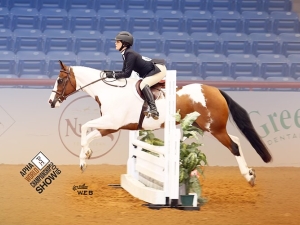 Diamond World Champion Diamond World Champion
