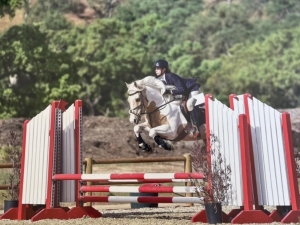 Nell Jumper Pony