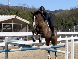 Good jumper Good jumper