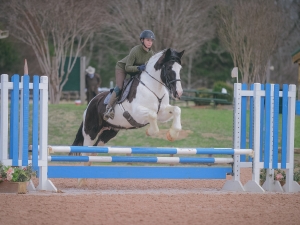 Solei at her first show Texas Rose 