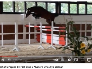Free jump Free jump