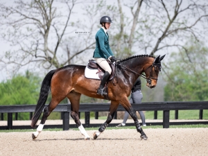 Trot Trot