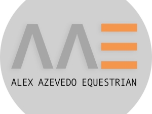 AAE logo
