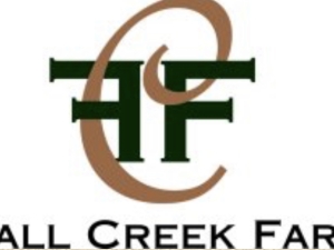 Logo Logo