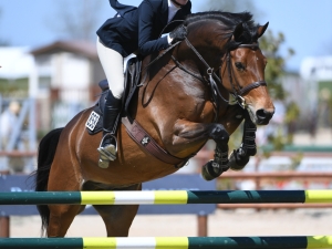 Competitive and super fun jumper for sale.
