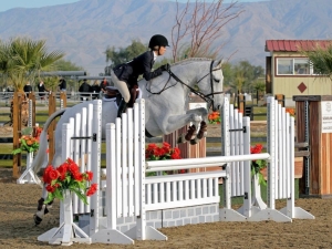 tino_equitation3.jpg tino_equitation3.jpg
