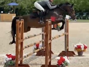 Sweet Caroline 1.20m with a 5’8” rider Sweet Caroline 1.20m with a 5’8” rider