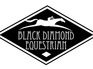 blackdiamondlogofinal12-28-11.jpg blackdiamondlogofinal12-28-11.jpg