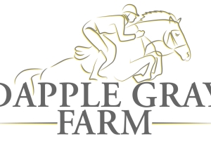 dgf-logo-ac-01.jpg dgf-logo-ac-01.jpg