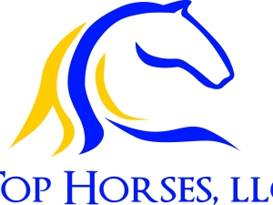 tophorsesllc.jpg tophorsesllc.jpg