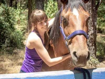 Work with horses and learn more about riding instruction!