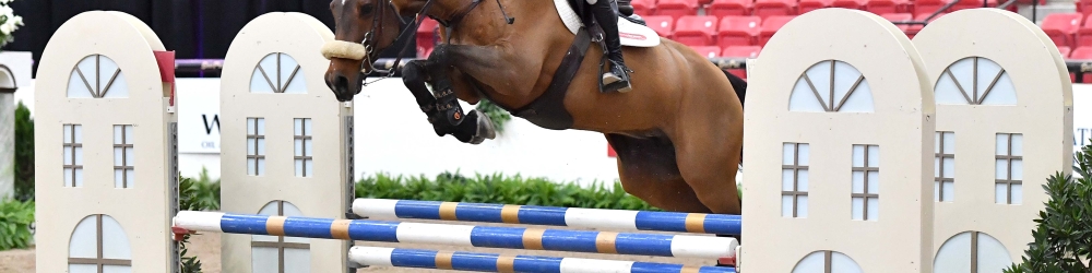Stone Pine Stables - Jumper