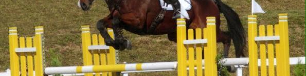 we specialize in producing young sport horse prospects for Eventing, Dressage and Show Jumping